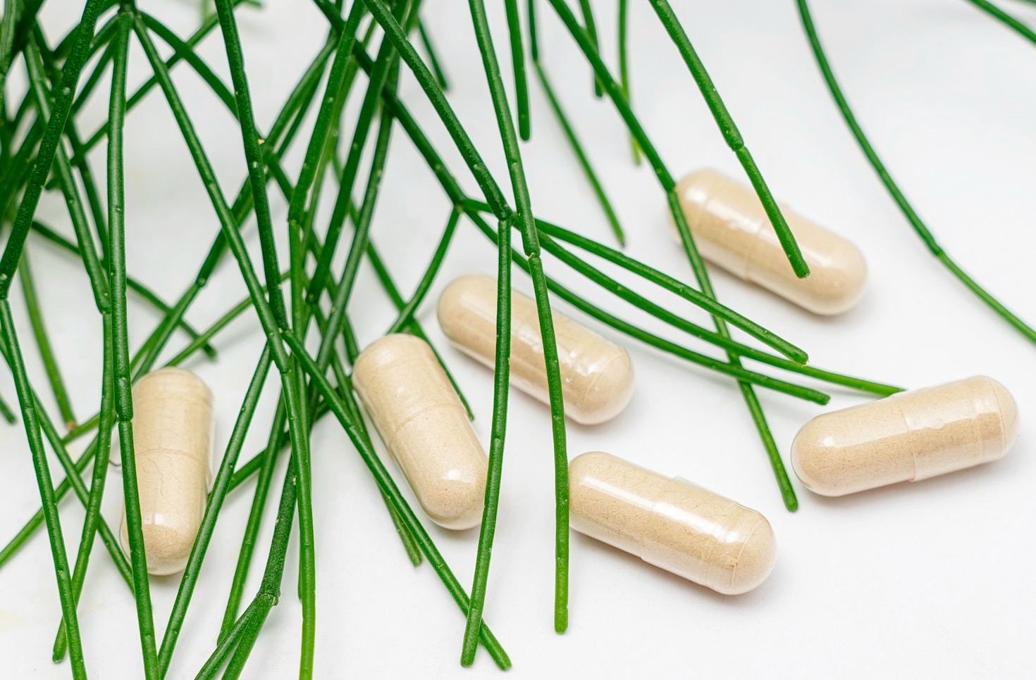 Navigating the World of Natural Health Solutions